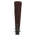 25527-21-329 Aurora_2D_0002.png
