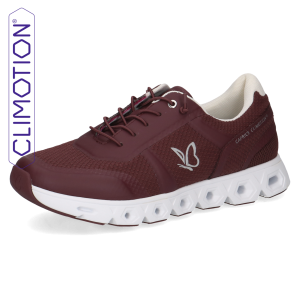 Buty sportowe bordowe Danny [23605-43-523]