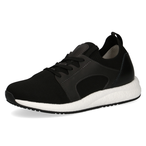 23701-28-035 Stella_2D_0005.png