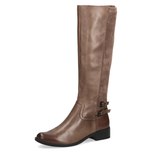 25501-29-345 Kania_2D_0005.png