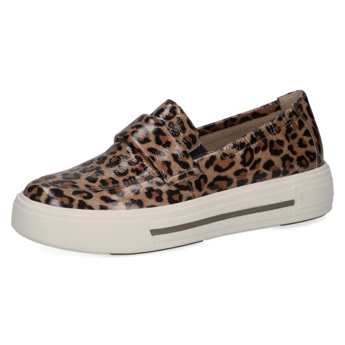 24751-25-418 Manou_2D_0005.jpg