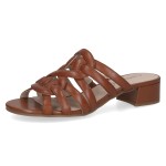 Klapki brązowe Carla [27205-46-303]